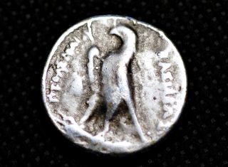Greece Silver.  Ptolemeos.  204 - 181 Bc.  Ag 2 Drahmai.  Eagle.  Museum Res.  Coin photo