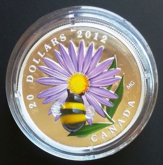 2012 $20 Aster With Venetian Glass Bumble Bee Fine Silver Coin - W/case & photo