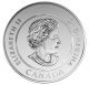 2016 Canada $20.  00 Pure Silver Coin - Tyrannosaurus Rex Coins: Canada photo 1