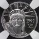 1999 - W $10 Platinum 1/10 Oz Eagle Ngc Pr69 Ultra Cameo 17 - 2cnf Platinum photo 2