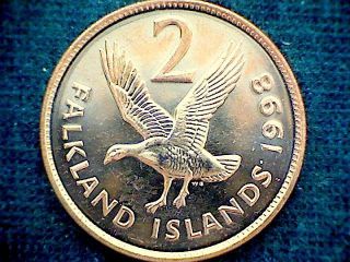 Falkland Islands 1998 2 Pence,  Upland Goose,  Unc photo