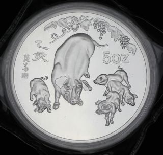 Chinese Zodiac 5 Oz 99.  9 Baiyin 1995year Of The Pig Medal photo