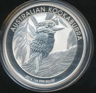 2014 Australian Kookaburra 1 Oz Silver Coin 1678 photo