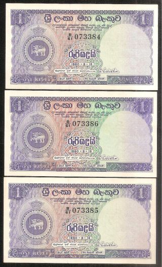 Srilanka (ceylon) 1 Rupees Note,  1960 - 08 - 18,  3 Consecutive Unc Note With Stains. photo