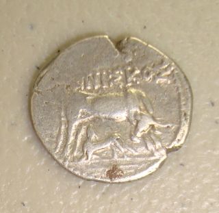 229 - 100 Bc Illyria,  Apollonia Cow / Stellate Ancient Greek Silver Drachm Vf photo