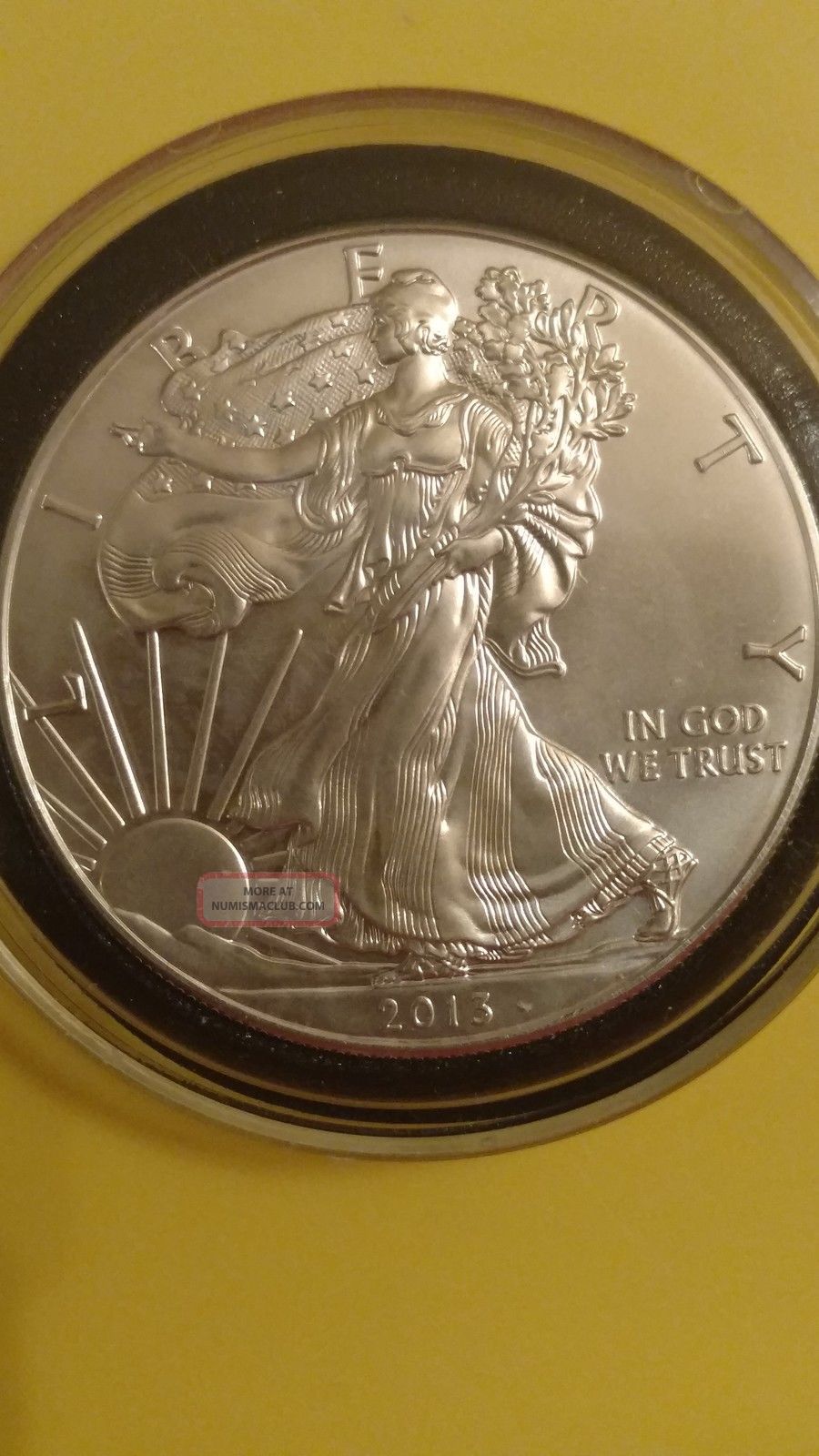 2013 Walking Liberty Silver Dollar