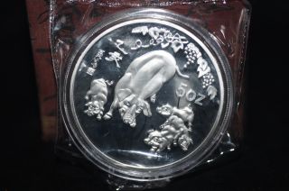 99.  99 Chinese 1995 Year Traditional Zodiac Swine 5oz Silver Coin V photo