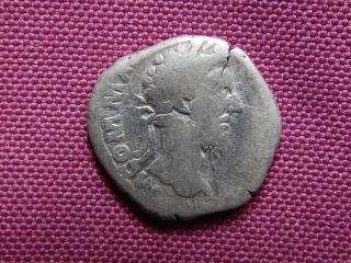 Commodus,  Rome,  Ar Denarius,  184 - 185ad,  Felicitas,  Ric 108 photo