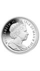 2016 - 1/10oz Platinum Noble Coin.  9995 Platinum photo 1
