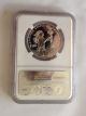 2014 W Proof $100 American Platinum Eagle Ngc Pf70 With Ogp Platinum photo 1