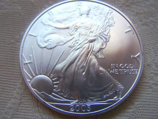 2003 Silver American Eagle 1 Ounce Silver Dollar Coin photo