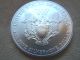2003 Silver American Eagle 1 Ounce Silver Dollar Coin Silver photo 1