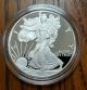 2011 U.  S American Eagle One Ounce Bullion Silver Proof Coin & Silver photo 1