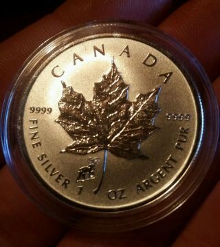 2015 Canada 1 Oz Silver Maple Leaf Lunar Sheep Privy In Display Capsule photo
