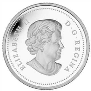 2014 $20 Fine Silver Coin 1 Oz Maple Canopy Spring Splendour ' 14 Canadian B1 photo