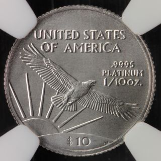 2007 $10 Platinum 1/10 Oz Eagle Ngc Ms70 17 - 13cnf photo