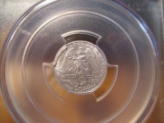 2008 - W Pcgs Sp 69 1/10 Oz Burnished Liberty Platinum Eagle Coin $10 Diehl Label photo