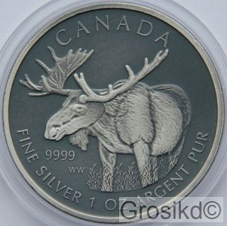 Canada 2012 $5 Moose 1 Oz Silver Antique Finish Unique photo