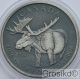 Canada 2012 $5 Moose 1 Oz Silver Antique Finish Unique North & Central America photo 2