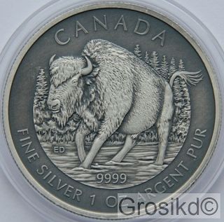Canada 2013 $5 Bison 1 Oz Silver Antique Finish Unique photo