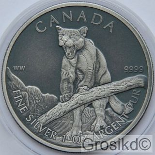 Canada 2012 $5 Puma 1 Oz Silver Antique Finish Unique photo