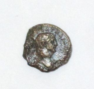 Roman Emperor Trajan—quadrans—she - Wolf Reverse—ancient Bronze Coin—ad 98 - 117 photo