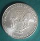 2006 1 Oz Silver American Eagle (brilliant Uncirculated) Coins photo 1