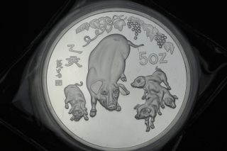 99.  99 Chinese 1995 Zodiac 5oz Silver Coin - Year Of The Pig 15 photo