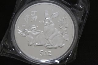 99.  99 China Zodiac Year Of The Rabbit 5oz 999 Silve (huahaoyueyuan) E31 photo