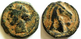 Rare Zeugitana Carthage Punic Bronze Ae22 Tanit Horse ' S Head - 300 - 264 Bc photo