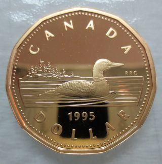 1995 Canada Loonie Proof One Dollar Coin - A photo