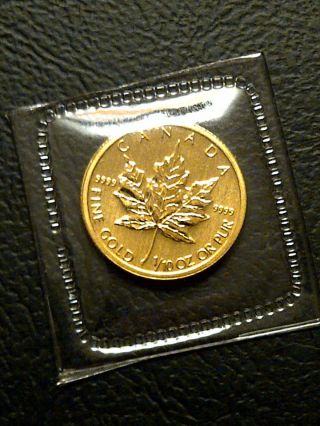 2013 Canada 5 Dollar Rcm Gold Maple 1/10 Oz Pure.  9999 Gold photo