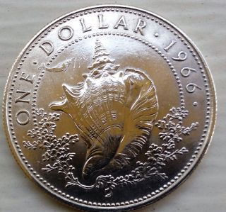 Bahamas 1 Dollar Coin 1966 Conch Shell Silver Elizabeth photo