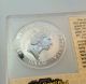 1993 Australia Kookaburra Feeding 1 Oz.  999 Fine Silver $1 One Dollar Coin Australia photo 3