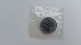 2005 Canadian Maple Leaf 1 Oz Palladium $50 Coin Canada photo