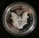 1995 Silver Proof American Eagle One Ounce Coin Silver photo 1