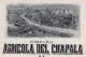 Compania Agricola Del Chapala Bond Stock Certificate 1911 Mexico Coupons World photo 2