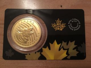 2014 Canada $200 1 Oz Howling Wolf Pure Gold Coin W/assay Card.  99999 photo