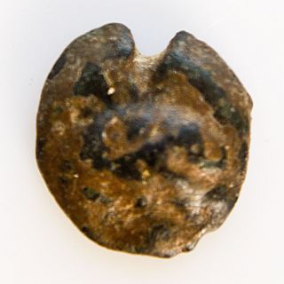 Ancient Greek Sarmatia Olbia Black Sea Olbio Coin 360 - 320 Bc.  Cast Ae Ol5 photo
