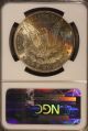 1885 Morgan Silver Dollar Ngc Ms 61,  Rainbow Toning Rev U.  S Dollars photo 1