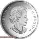 2015 Canada $100 10oz Fine Silver - Albert Einstein Theory Of Relativity - 100 Years Coins: Canada photo 2