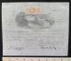 1865 Stock Certificate - Lehigh Coal & Navigation Co.  - June 3,  1865 (100 Shares) Stocks & Bonds, Scripophily photo 4
