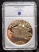 American Commemorative Coin Of 1933 Gold Double Eagle Exonumia photo 1