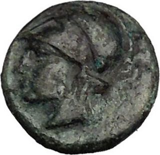 Mesembria Thrace 350bc Ancient Greek Coin With Athena & Wheel I35629 photo