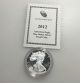 2012 - W 1 Oz Proof Silver American Eagle Dcam W/ And Coins photo 2
