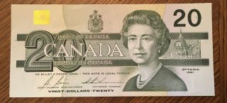 Face Value,  One 1991 Bird Series $20 Bank Of Canada,  In Canada photo