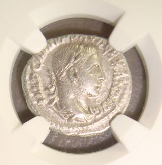 Ad 222 - 235 Severus Alexander Annona Reverse Ancient Roman Silver Denarius Ngc Xf photo