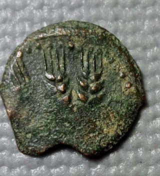 Bronze Agrippa I Jewish Biblical Time Prutah Coin 1272 photo