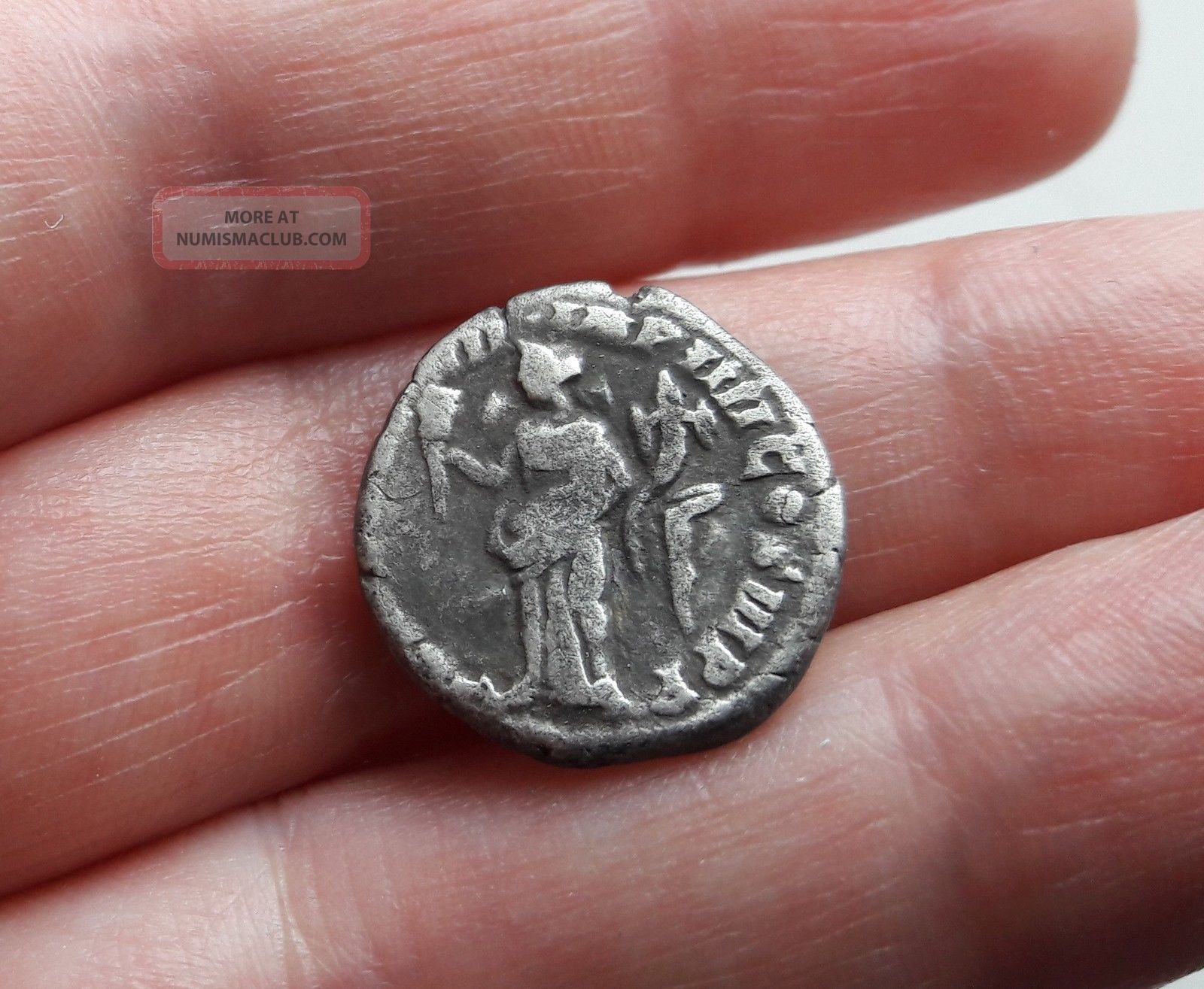 denarius coin price