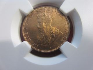 1933 Hong Kong One Cent Ngc Ms65rb Red Brown Luster photo